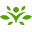 Swanson logo